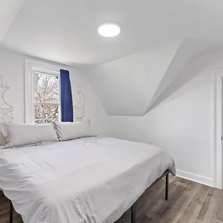 Cozy Gem In The Heart Of East Rock With Free Parking Near Yale And Dt Apartment New Haven Exterior photo