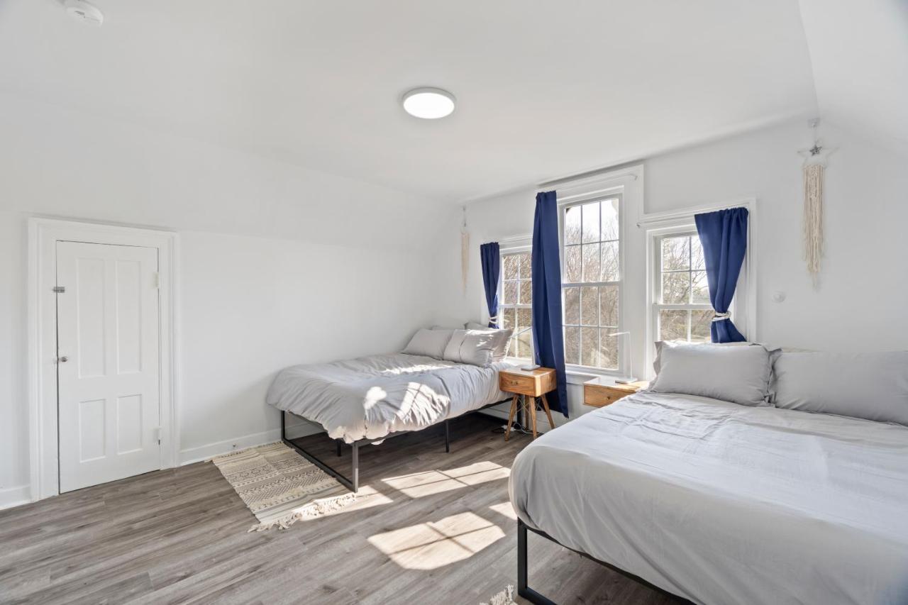 Apartment Cozy Gem In The Heart Of East Rock With Free Parking Near Yale And Dt